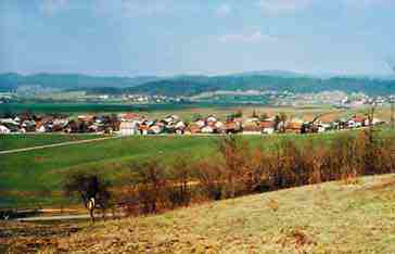 Mla04.jpg (7289 bytes)