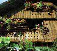 dovje-07.jpg (4851 bytes)